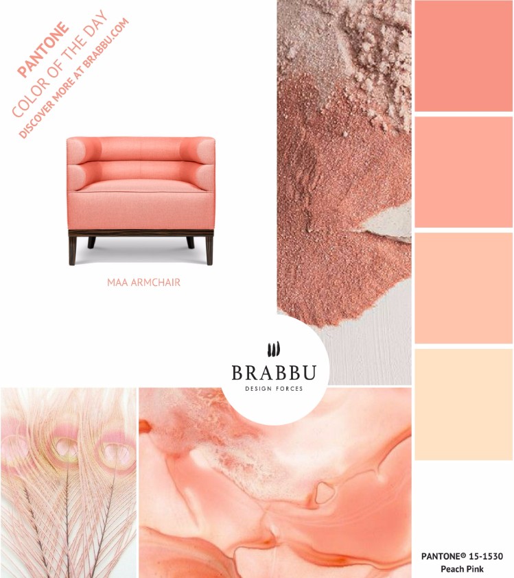 10 Blushing Beauty Design Furniture in Pink You Must Know. Modern Design Furniture. Home Decor Ideas. Pink Velvet Sofa. #homedecorideas #modernsofas #moderndesignfurniture. Get major inspiration here » https://goo.gl/Z2RoJg